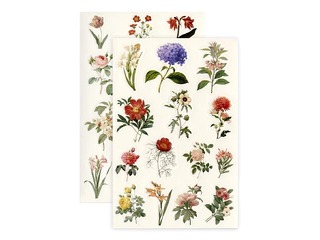 Uzlīmes Galeria Papieru Summer Flowers, 4 lapas