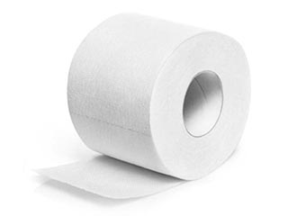 Toilet  paper rolls