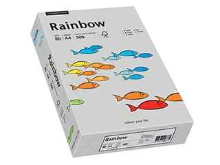 Papīrs Rainbow 93, A4, 160 g/m2, 250  loksnes, gaiši pelēks
