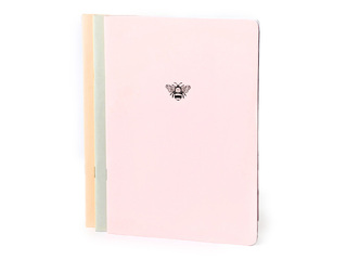 Burtnīca Iespēja izaugsmei, līniju, dažādas krāsas