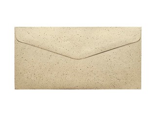 Aploksnes Pepper brown DL, 10 gab.