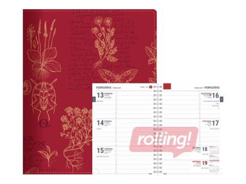 Diary Tempo Trend Nedēļa, Dreamer