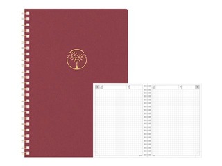 Dienasgrāmata - piezīmju bloks, Tempo Cardboard, rūtiņu, sarkans