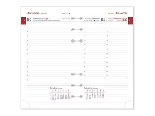 Satura bloks Midi Diena