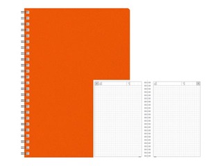 Dienasgrāmata - piezīmju bloks, A5 Cardboard, rūtiņu, oranžs