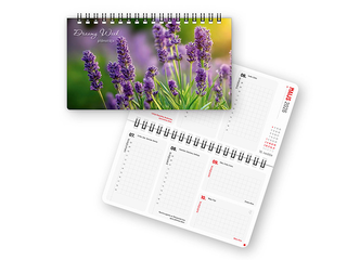 Dienasgrāmata Dreamy Week, 17x9.5 cm, Soft Touch Nr.1