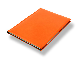 Dienasgrāmata Jodo Adventure, A5, oranža