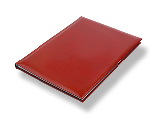 Dienasgrāmata Jodo Adventure, A5, brūna