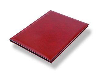 Dienasgrāmata Jodo Adventure, A5, bordo