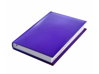 Dienasgrāmata Jodo Tendency,  A6, violeta