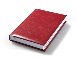 Dienasgrāmata Jodo Tendency,  A6, bordo