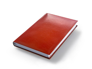 Dienasgrāmata Jodo Manager, A5, brūna