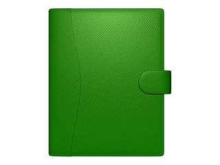 Laika plānotājs Maxi Imitation Leather, gaiši zaļš