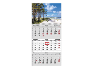 Sienas kalendārs Office, Nr.8