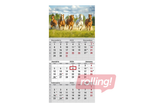 Sienas kalendārs Office, Nr.10