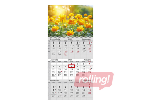 Sienas kalendārs Office, Nr.16