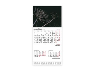 Sienas kalendārs Bonus Nr.9