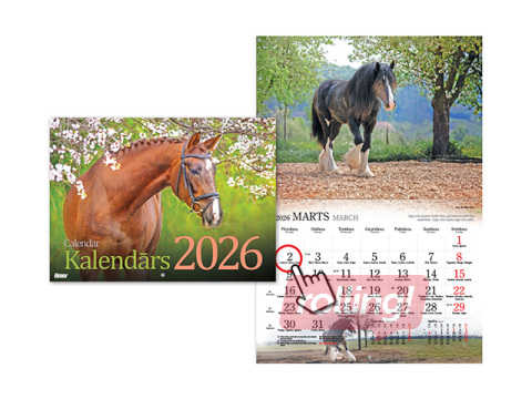 Sienas kalendārs, Zirgi