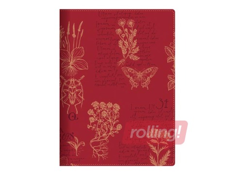 Skolotāja dienasgrāmata Trend, A5, Dreamer