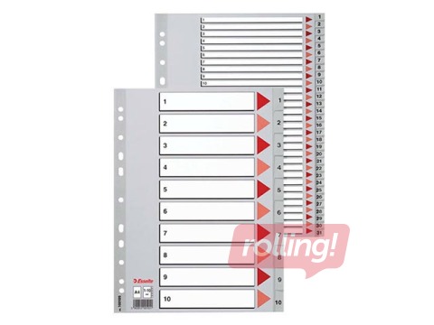 Разделитель документов Esselte 1-20, A4, ПП, серый