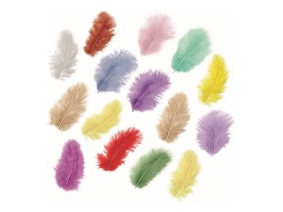 Dekoratīvās spalvas marabu, 15 gab., asorti