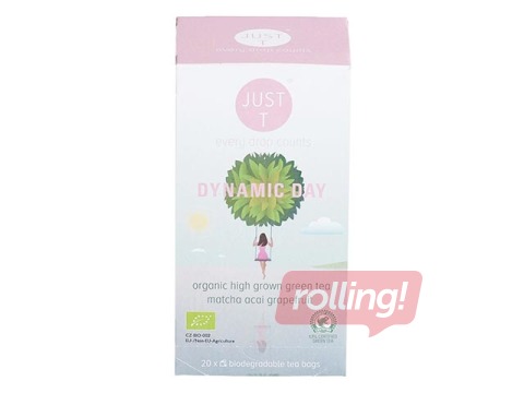 Tēja zāļu Just-T Dynamic Day Bio 1g x 20