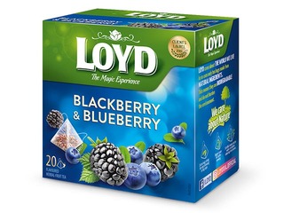 Puuviljatee Loyd Pyramids mustika ja muraka maitsega, 20x2 g