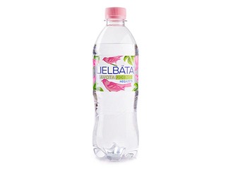 Avota ūdens Lielbāta, negāzēts, 0.5l