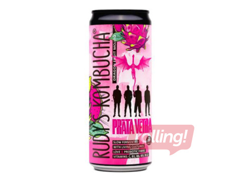 Kombuča Rudy's, Prāta Vētra, Dragon Fruit Mojito, 330ml (Taras depozīts iekļauts cenā)