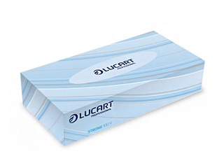 Kosmētiskās salvetes Lucart Professional, 2 kārtas, 100 salv., 841030