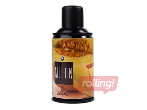 Gaisa atsvaidzinātajs Spring Air, Melon, 250ml