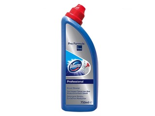 Flīžu šuvju tīrīšanas līdzeklis Domestos Grout Cleaner, 750 ml