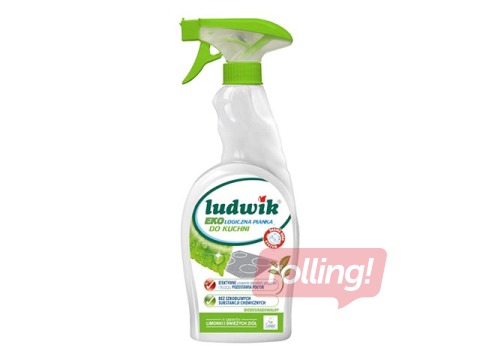 Virtuves tīrīšanas putas, Ludwik eco, 750 ml