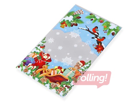 Dāvanu maisiņi BOPP 