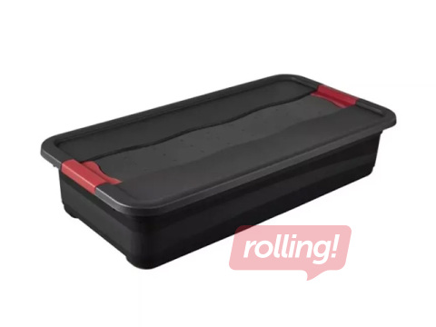 Uzglabāšanas kaste Keeeper Eckhart, ar vāku, pelēka, 79.5×39.5×17cm, 33l