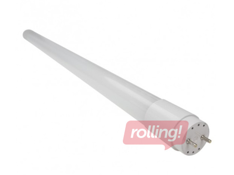 Dienas gaismas spuldze EcoLight LED, T8, 9W, 4000K, 1215lm, 60cm