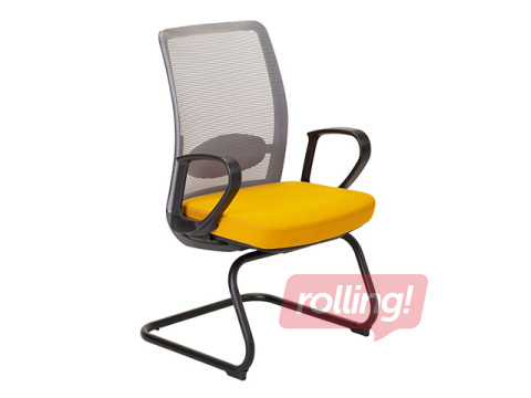 Apmeklētāju krēsls Anggun, pelēks, dzeltens