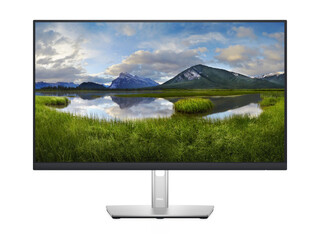 Monitors Dell LCD P2422H 23.8 
