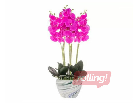 Mākslīgā orhideja, 72-75cm