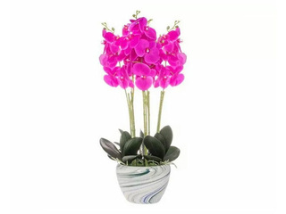 Mākslīgā orhideja, 72-75cm