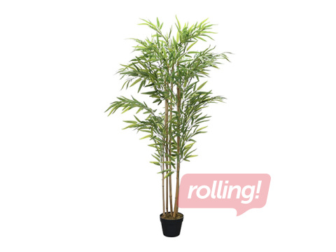 Mākslīgais augs podiņā Domoletti, zaļš, 155cm