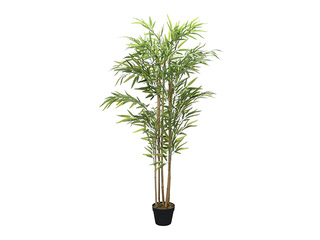 Mākslīgais augs podiņā Domoletti, zaļš, 155cm