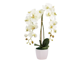 Mākslīgā orhideja, balta, 60cm