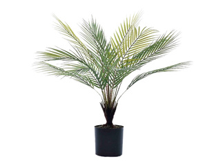 Mākslīgais augs palma podiņā, zaļš, 62cm
