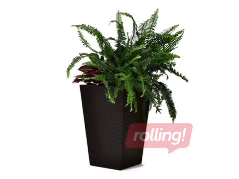 Dekoratīvais puķu pods Keter Rattan Planter, plastmasas, brūns, 38.5x38.5x57cm
