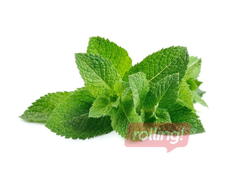 Piparmētra fasēta termoiepakojumā 20g, 1.šķira 