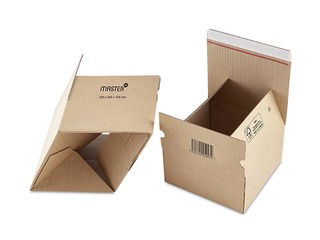 Box for postal shipments Master´in Access, L160 x B130 x H70 mm, cardboard