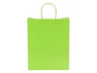 Dāvanu maisiņš papīra TOPTWIST 240x110x310mm, gaiši zaļš