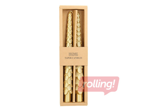 Svece Carols, antīka, zelta egle, 25cm, 2 gab.