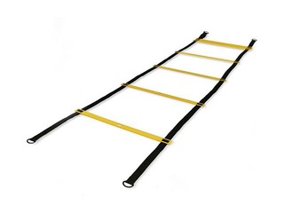 Treniņu trepīte - kāpnes (4m) 